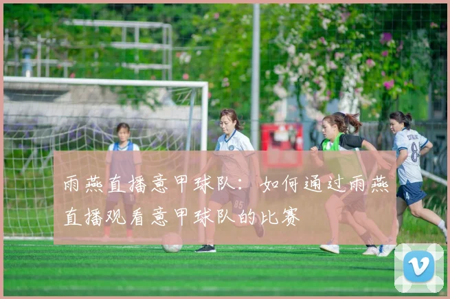 雨燕直播意甲球队:如何通过雨燕直播观看意甲球队的比赛
