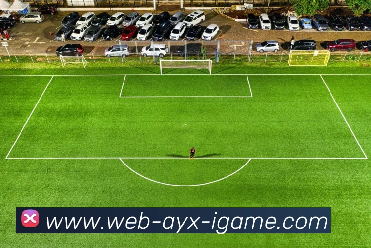 爱游戏APP 封面图